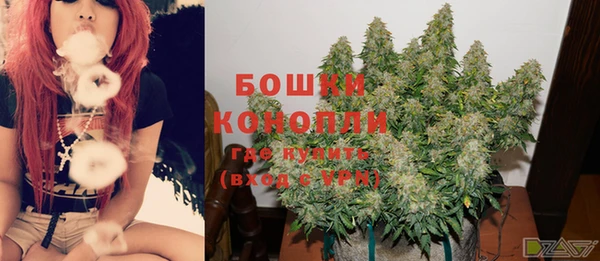 ПСИЛОЦИБИНОВЫЕ ГРИБЫ Богородск