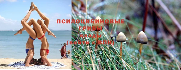 трава Беломорск